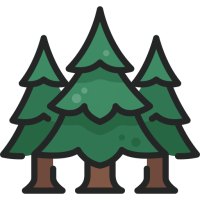 pine-tree.png